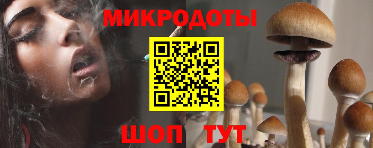 Саяногорск  сколько стоит  Вход с VPN  Псилоцибиновые грибы мухоморы 
